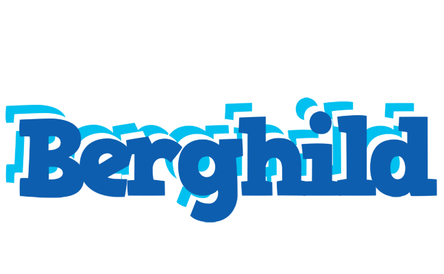 Berghild business logo