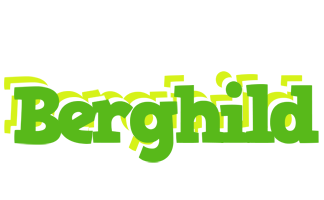 Berghild picnic logo