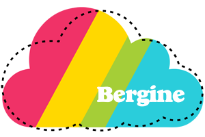 Bergine cloudy logo