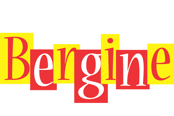 Bergine errors logo