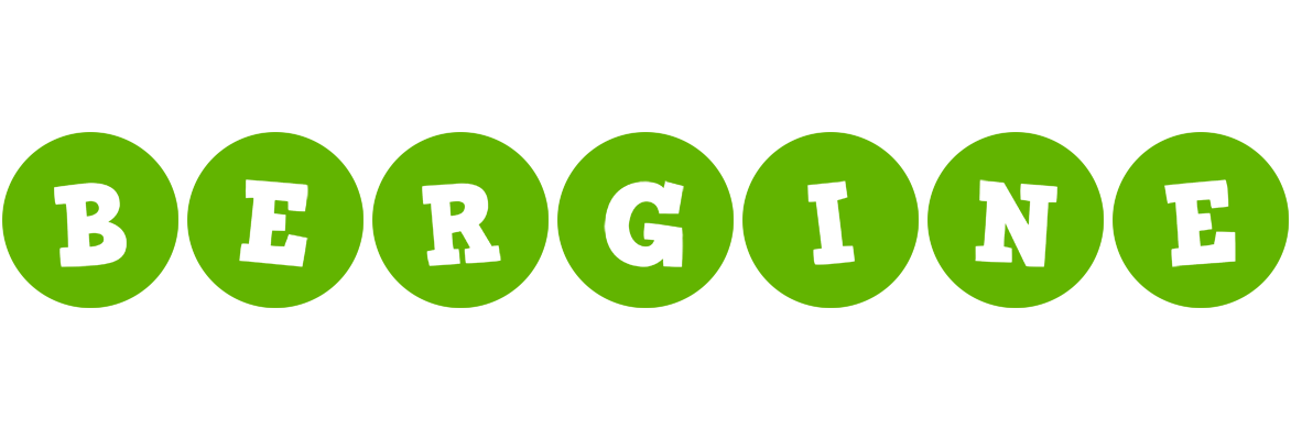 Bergine games logo