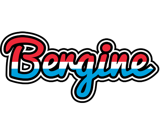 Bergine norway logo