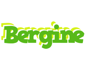 Bergine picnic logo