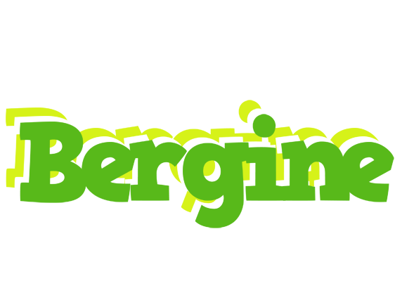 Bergine picnic logo
