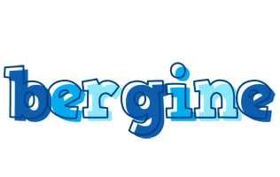 Bergine sailor logo