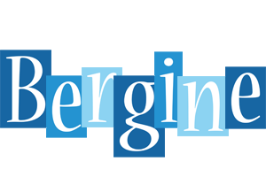 Bergine winter logo