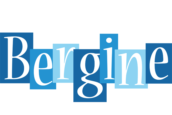 Bergine winter logo