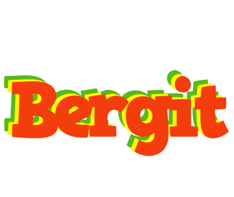 Bergit bbq logo