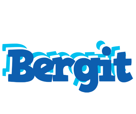 Bergit business logo