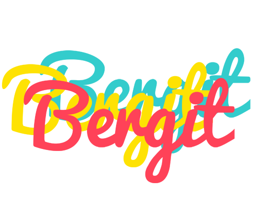 Bergit disco logo
