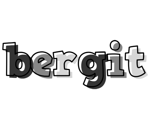 Bergit night logo