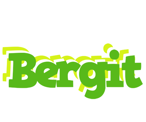 Bergit picnic logo