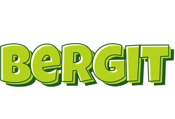 Bergit summer logo