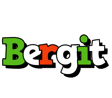 Bergit venezia logo
