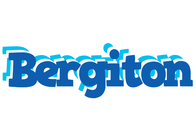 Bergiton business logo