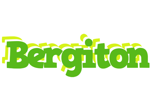 Bergiton picnic logo