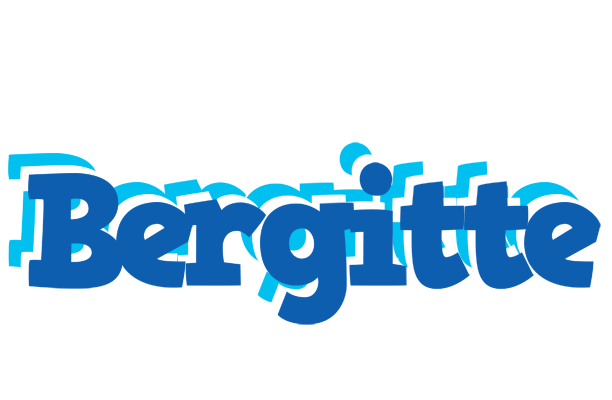 Bergitte business logo