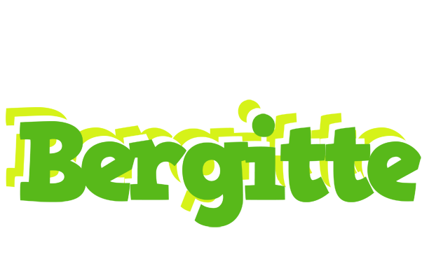 Bergitte picnic logo