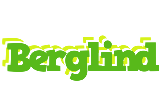 Berglind picnic logo