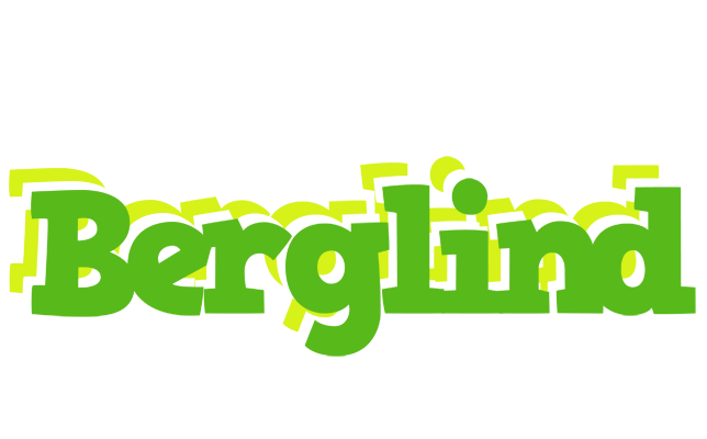 Berglind picnic logo
