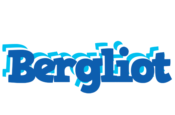 Bergliot business logo