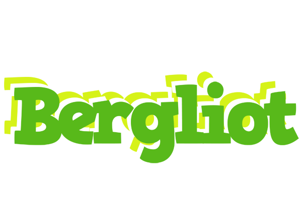 Bergliot picnic logo