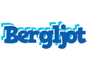 Bergljot business logo