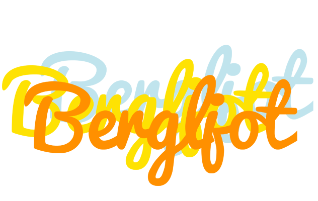 Bergljot energy logo