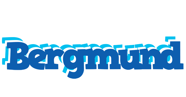 Bergmund business logo