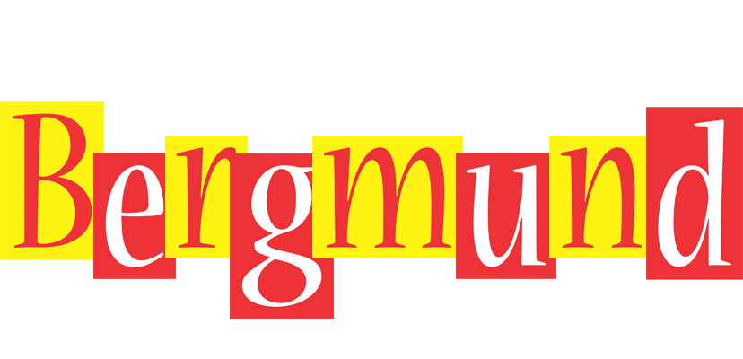 Bergmund errors logo