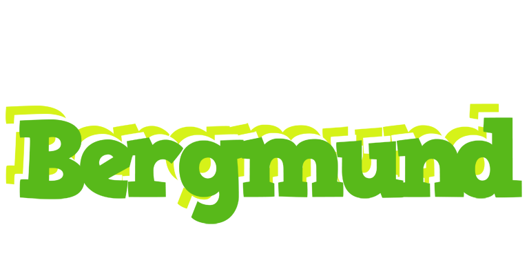 Bergmund picnic logo