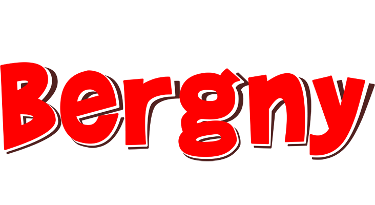Bergny basket logo