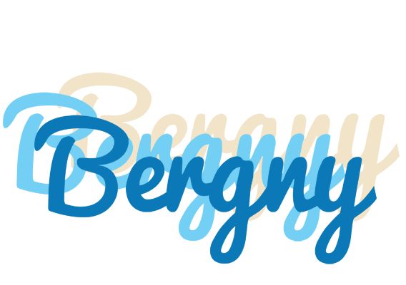 Bergny breeze logo