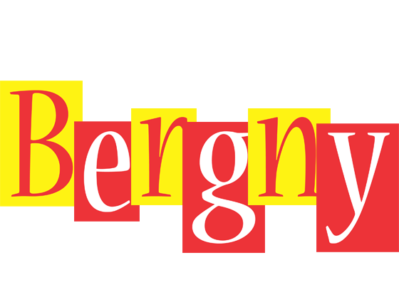 Bergny errors logo