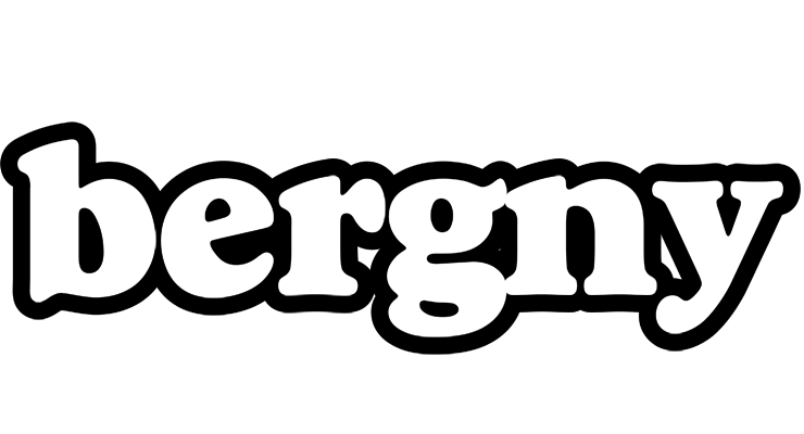Bergny panda logo