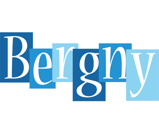 Bergny winter logo