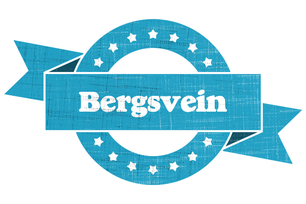 Bergsvein balance logo