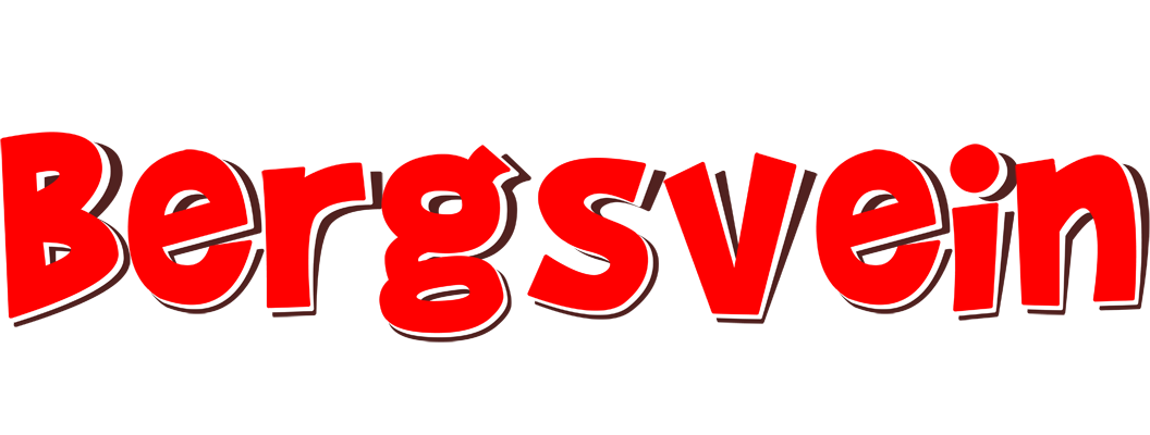 Bergsvein basket logo
