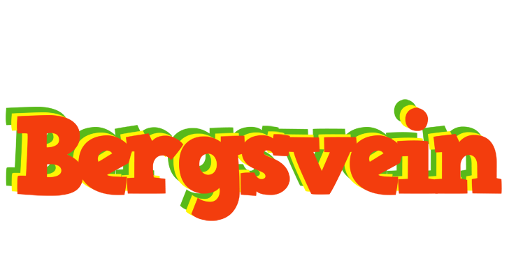 Bergsvein bbq logo