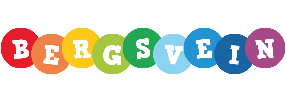 Bergsvein boogie logo