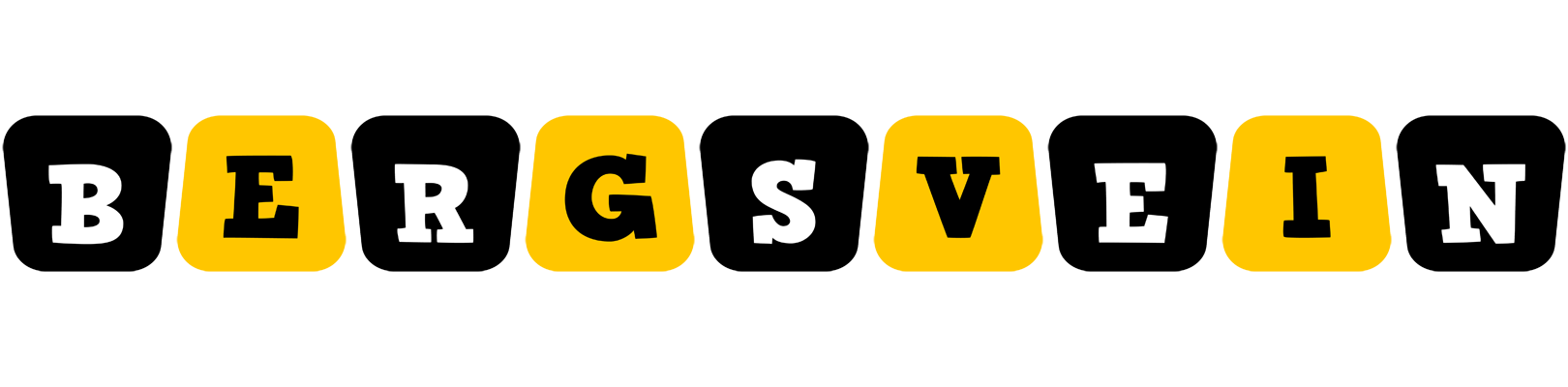 Bergsvein boots logo