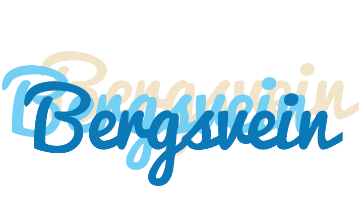 Bergsvein breeze logo