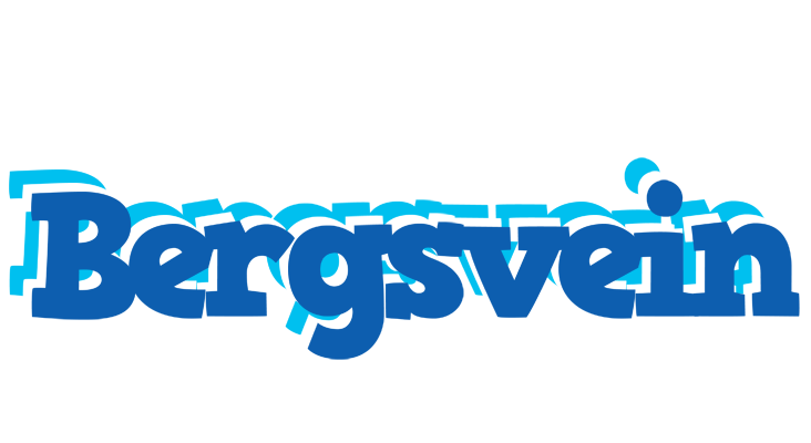 Bergsvein business logo