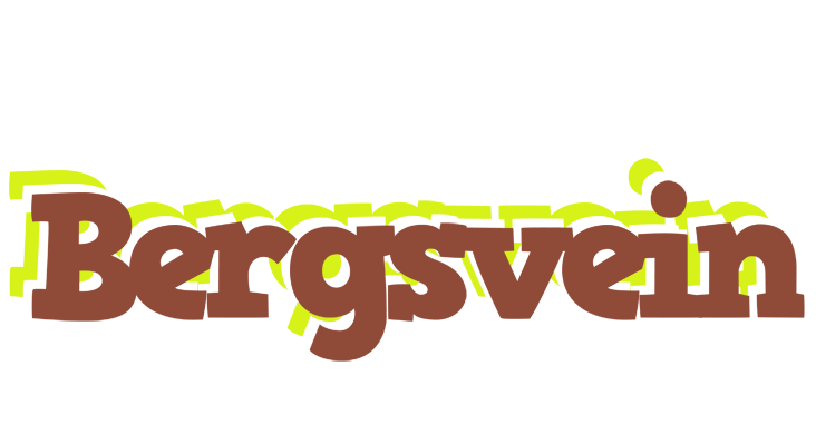 Bergsvein caffeebar logo