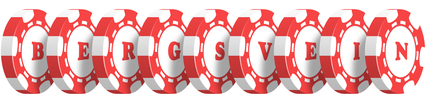 Bergsvein chip logo