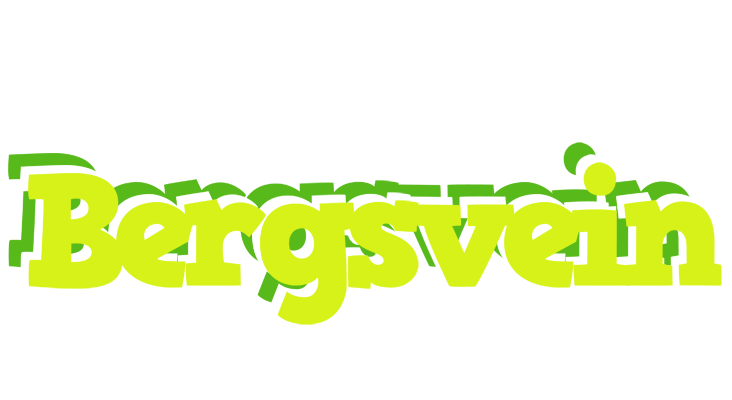 Bergsvein citrus logo