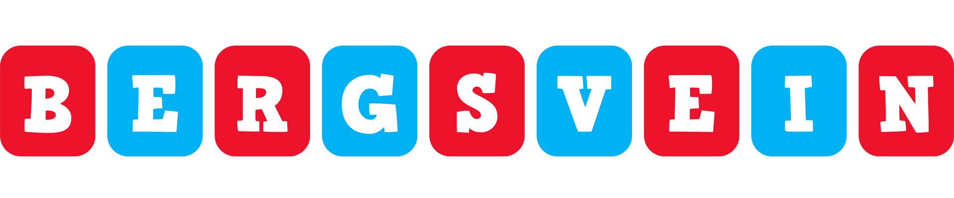 Bergsvein diesel logo
