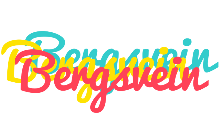 Bergsvein disco logo