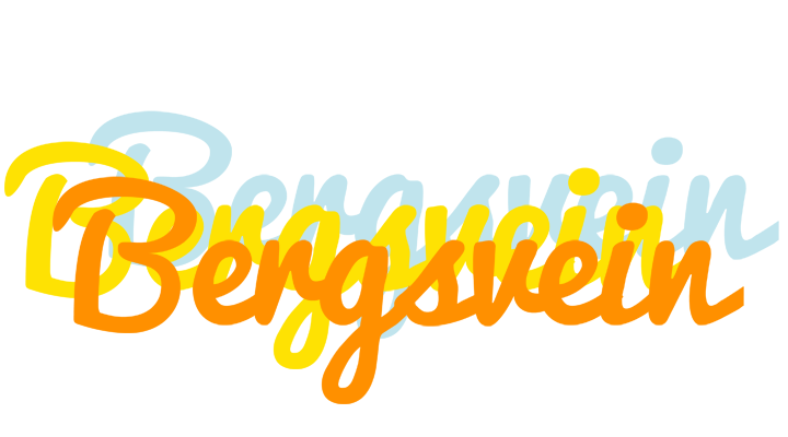 Bergsvein energy logo