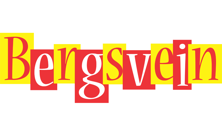 Bergsvein errors logo